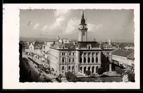AK Novi Sad, Panorama