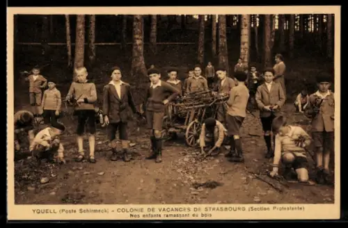 AK La Broque, Yquell, Colonie de vacances de Strasbourg, Nos enfants ramassant du bois