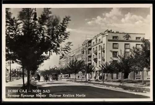 AK Novi Sad, Bulevar Kraljice Marije
