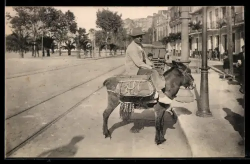 AK Malaga, Vendedor de huevos