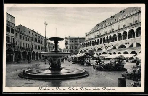 AK Padova, Piazza Erbe e Palazzo della Ragione, Brunnen