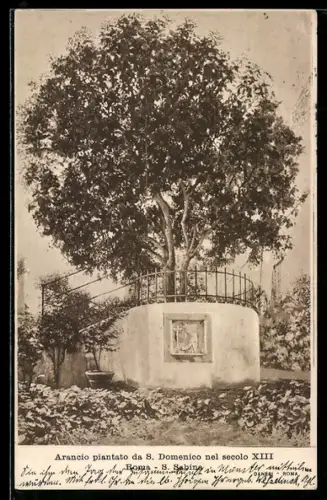 AK Roma, S. Sabina, Arancio piantato da S. Domenico nel secolo XIII