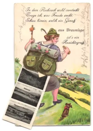 Leporello-AK Braunlage, Kirche, Am Gondelteich, Hahnenkleeklippe