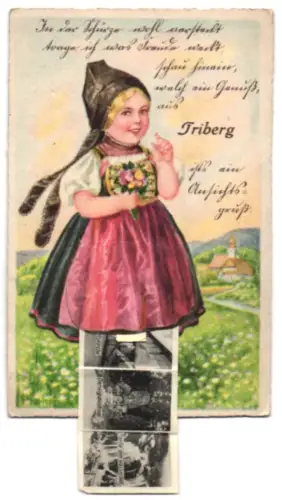 Leporello-AK Triberg, Alte Kappel, Partie am Wasserfall, Wallfahrtskirche, Gerwigdenkmal