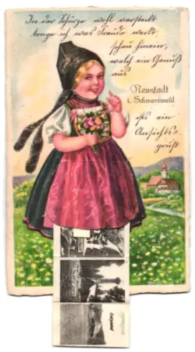 Leporello-AK Neustadt i. Schwarzwald, Blick auf den Hochfirst, Idyll aus Neustadt, Wutachschlucht, Batzenhof