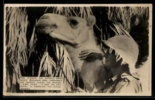 AK Buchanan-Expedition, Buchanan mit seinem Kamel Feri n`Gashi