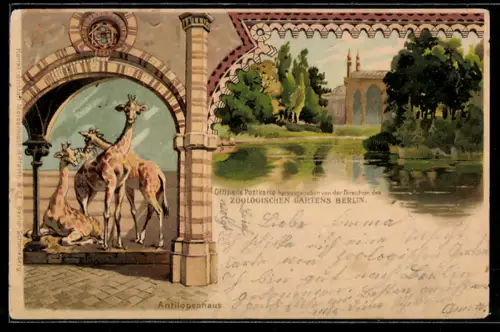 Lithographie Berlin, Zoologischer Garten, Antilopenhaus