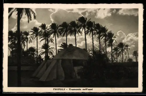 AK Tripoli, Tramonto nell`oasi