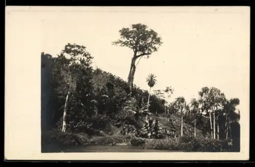 AK Neues Dorf b. Victoria., Panorama