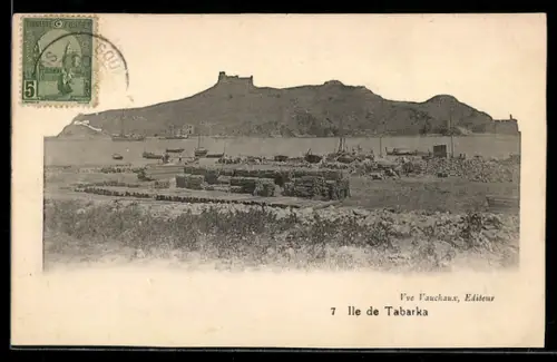 AK Ile de Tabarka, Blick auf Hafen und Festung