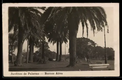 AK Buenos Aires, Jardines de Palermo
