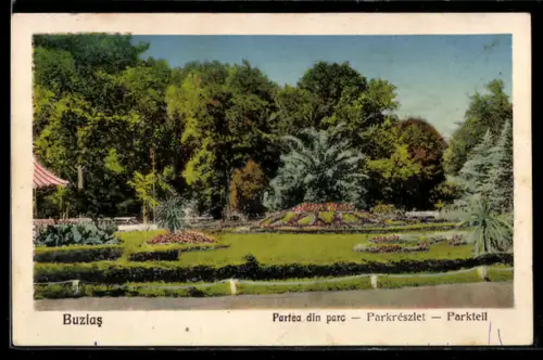 AK Buzias, Partea din parc, Parkrészlet, Parkteil