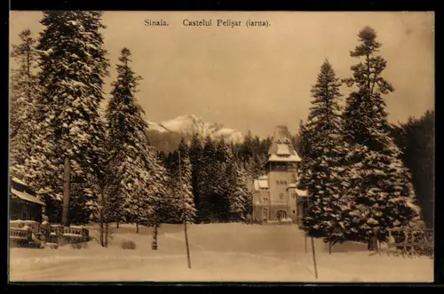 AK Sinaia, Castelul Pelisor