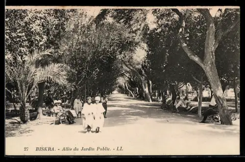 AK Biskra, Allée du Jardin Public