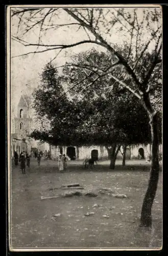 AK Bengasi, La piazza degli ulivo