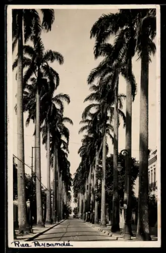 AK Rio de Janeiro, Rua Paysandu