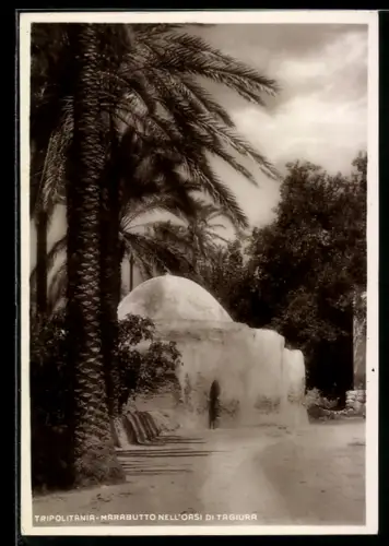 AK Tripolitania, Marabutto nell`oasi di Tagiura