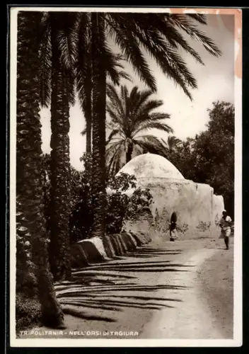 AK Tripolitania, Nell`Orsi di Tagiura