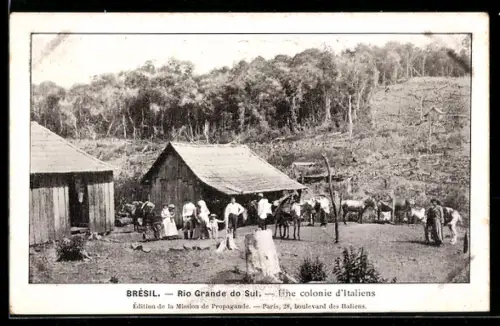 AK Rio Grande do Sul, Une colonie d`Italiens