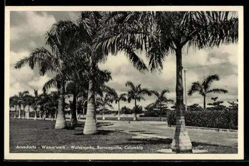 AK Barranquilla, Acueducto