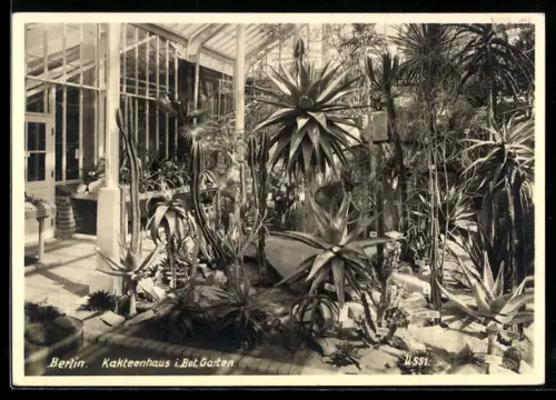 AK Berlin, Kakteenhaus im Botanischen Garten