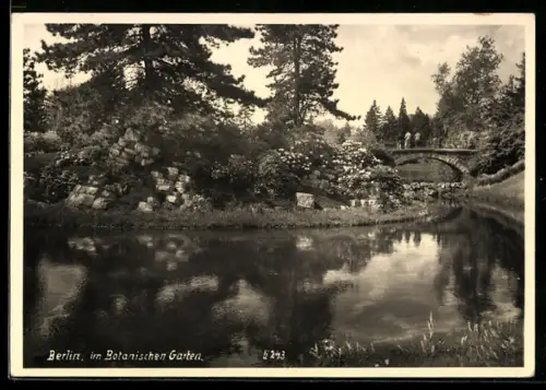 AK Berlin-Dahlem, Im Botanischen Garten, Teich, Brücke, Felsenpartie