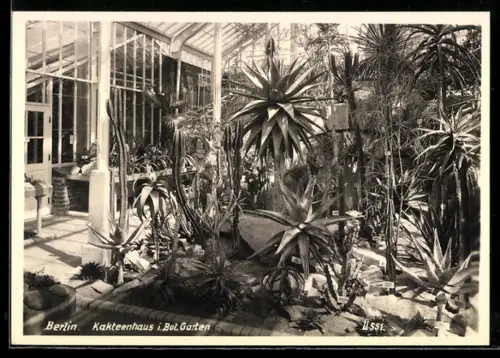 AK Berlin, Kakteenhaus im Botanischen Garten