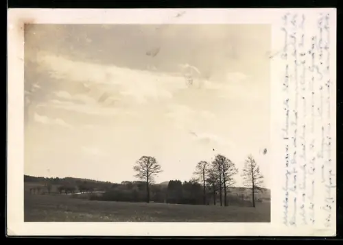AK Berlin-Zehlendorf, Landschaftsansicht mit Feldern und Bäumen, Am Fischtal 25B