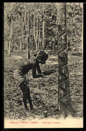 AK Ceylon, Tapping Rubber, Half Spiral System