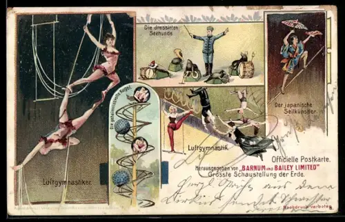 Lithographie Grösste Schaustellung der Erde mit Luftgymnastiker und dressierten Seehunden, Zirkus