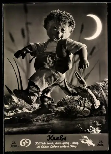 AK Mecki, Sternzeichen Krebs, Igel wird von einem Krebs in den Po gezwickt