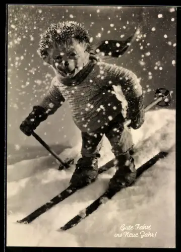 AK Mecki fährt im Schneesturm Ski