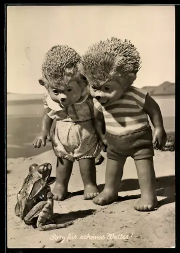 AK Sorg für schönes Wetter!, Mecki und seine Frau am Strand, Ein Wetterfrosch spricht zu ihnen