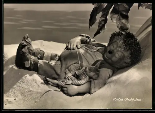 AK Igel Mecki schläft am Strand mit seinem Mäuschen
