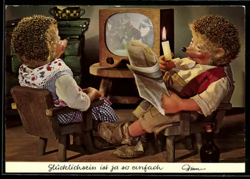 AK Igel Mecki mit Zeitung und Frau vor dem Fernseher