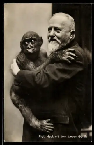 AK Berlin, Zoologischer Garten, Prof. Heck mit jungem Gorilla