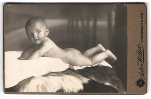 Fotografie Anton Willert, Traismauer /N.Oest., Porträt eines kleinen Kindes