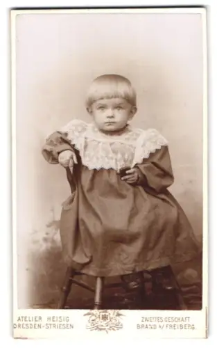 Fotografie A. R. Heisig, Dresden-Striesen, Wartburgstrasse 10, Kind auf Stuhl in Spitzenkleid