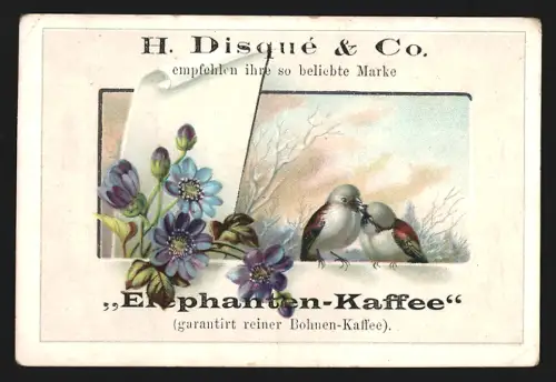Sammelbild H. Disqué & Co., Elephanten-Kaffee, Holländische Kaffeebrennerei, Vögel neben verschiedenen Blumen