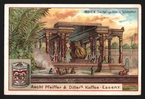 Sammelbild Worms a. Rh., Pfeiffer & Diller, Kaffee-Essenz, Heilige Kuh zu Tandschor