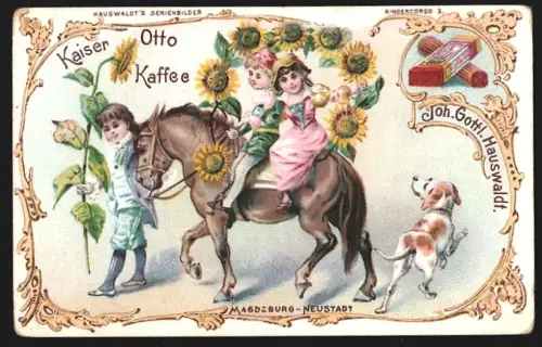 Sammelbild Magdeburg, Joh. Gottl. Hauswaldt, Kaffee-Zusatz, Kinder reiten auf einem Pony