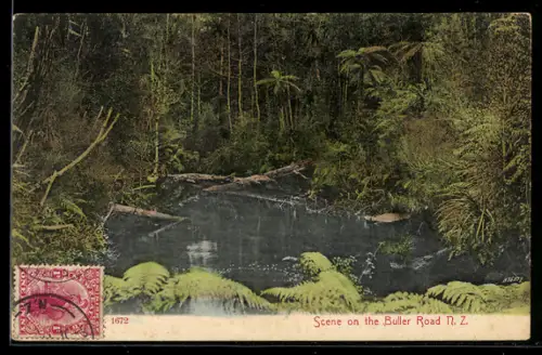 AK Buller Road, Scene on the Road