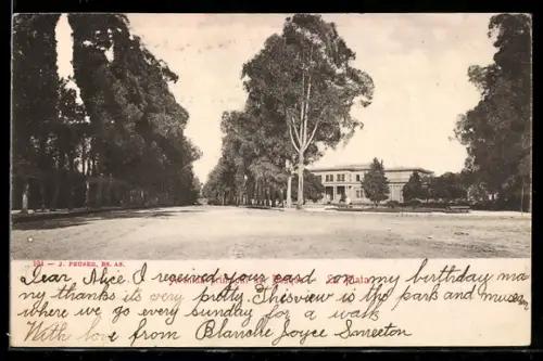 AK La Plata, Avenida principal del Bosque