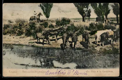 AK Chubut, En viaje a la Cordillera