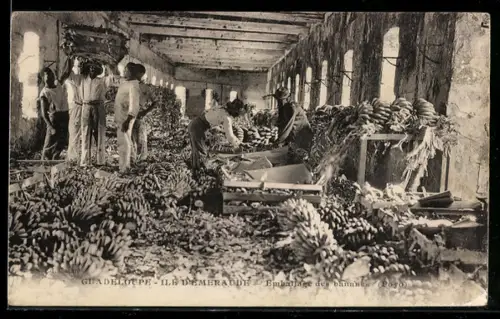 AK Guadeloupe, Emballage des bananes