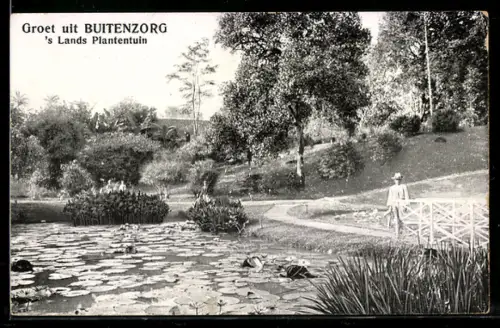 AK Buitenzorg, `s Lands Plantentuin