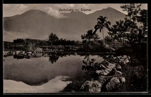 AK Tjipanas, Vischvijvers