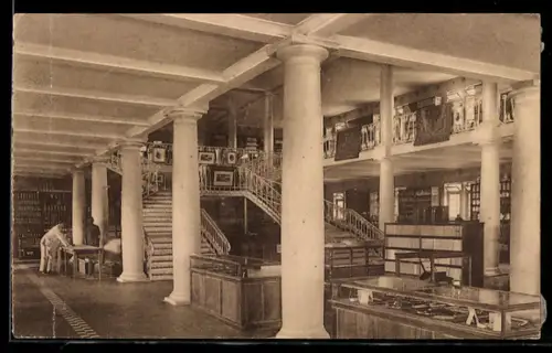 AK Léopoldville, Intérieur des grands magasins