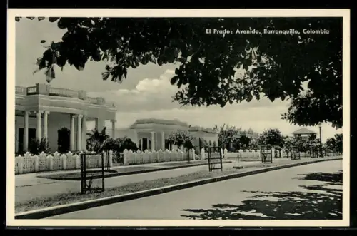 AK Barranquilla, El Prado, Avenida