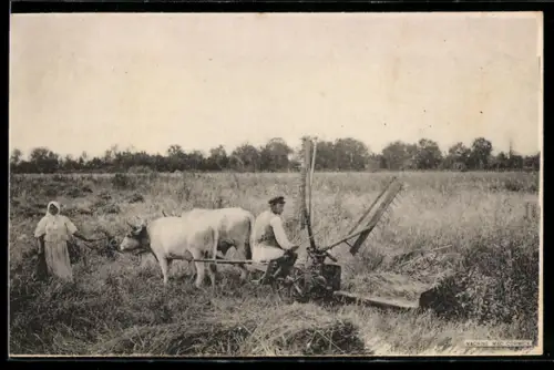 AK Paris, R. Wallut & Cie, Machines Agricoles, Bauernpaar bei der Feldarbeit